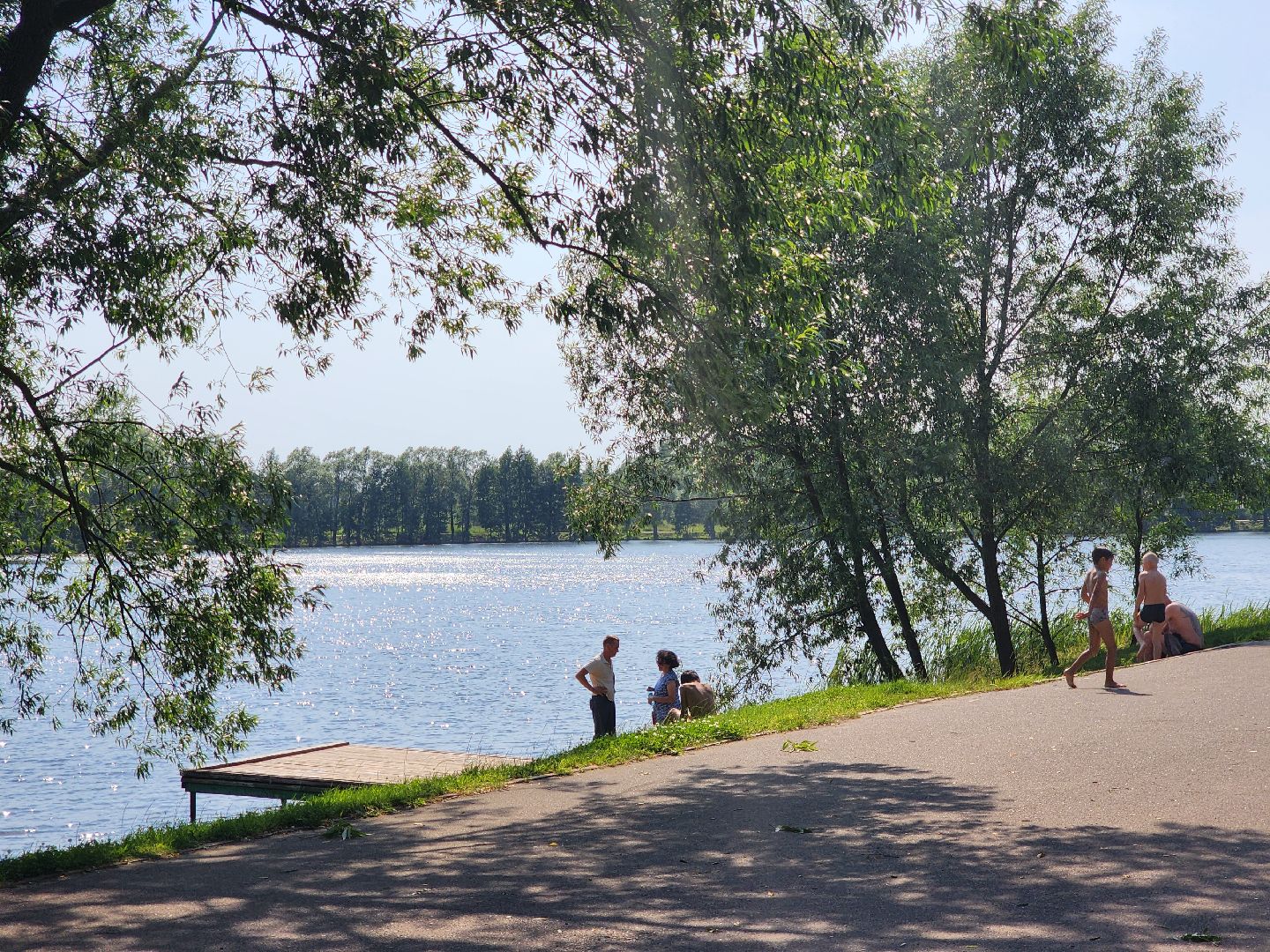 электроугли, богородский городской округ, жара, купальный сезон, отдых на воде, пруд,