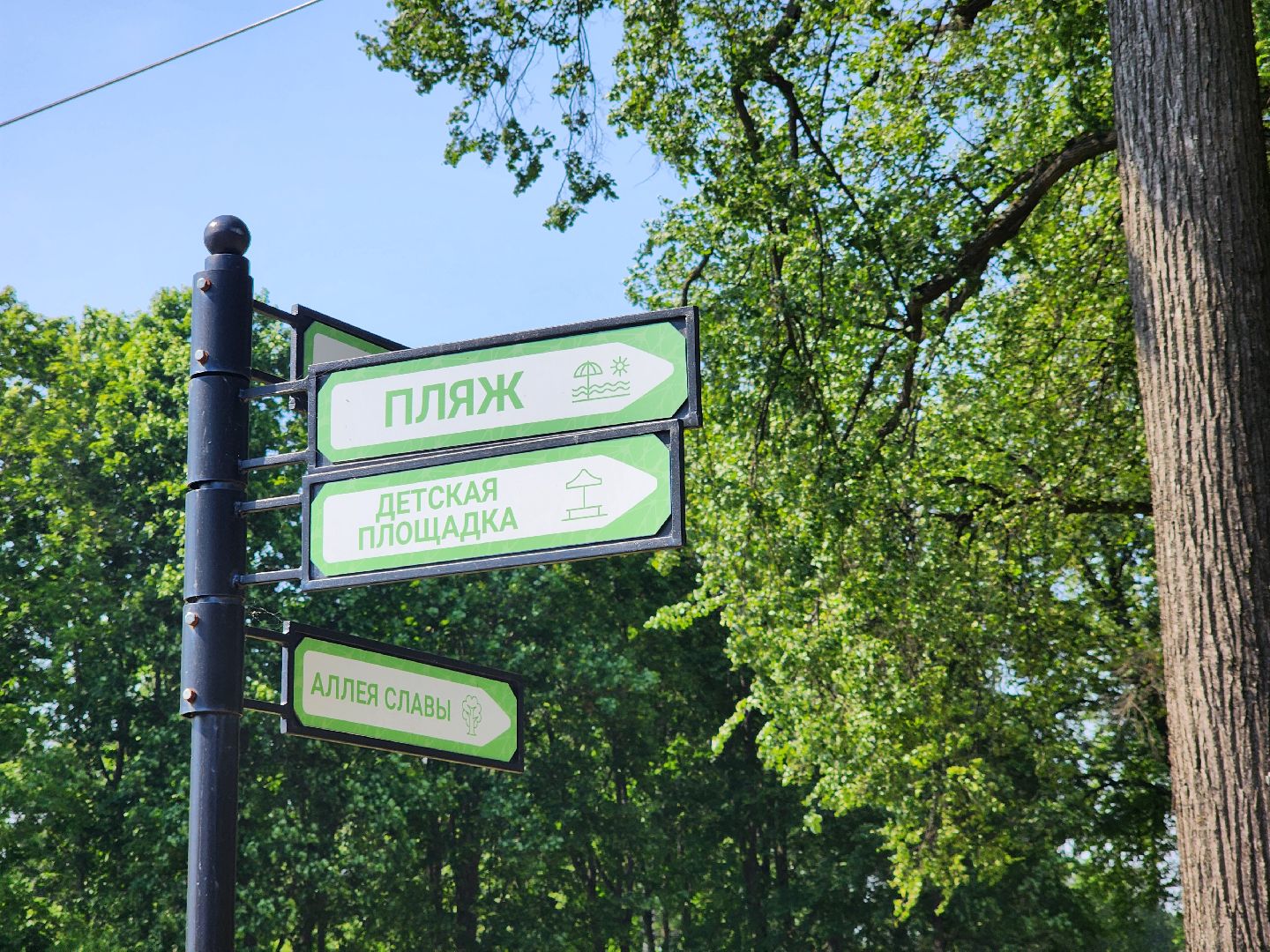 электроугли, богородский городской округ, жара, купальный сезон, отдых на воде, пруд,