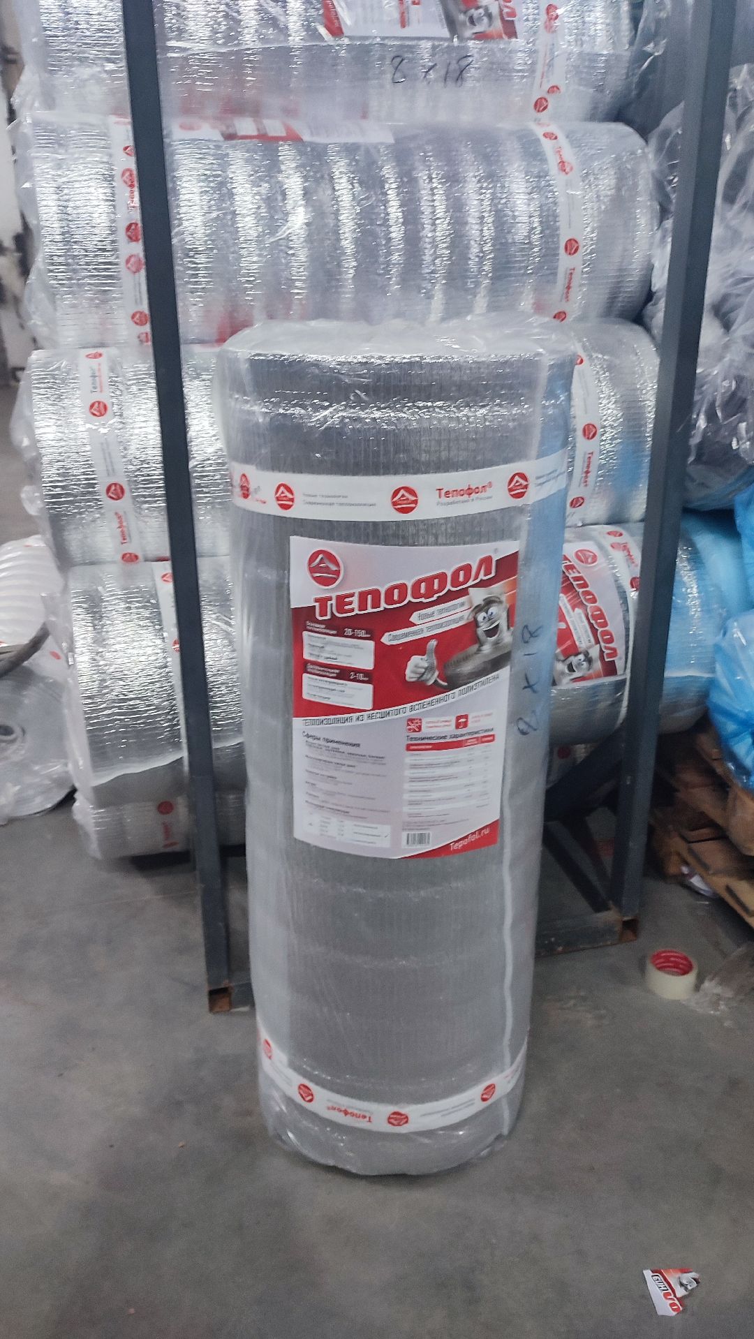 Кашира, общество