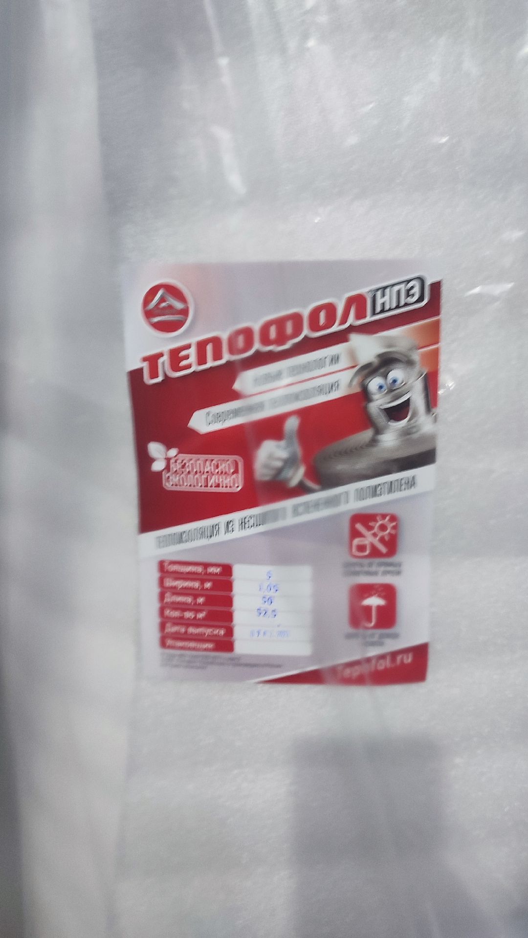 Кашира, общество