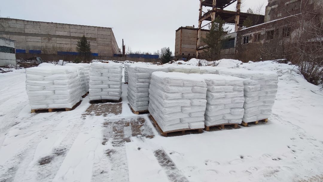 Кашира, общество