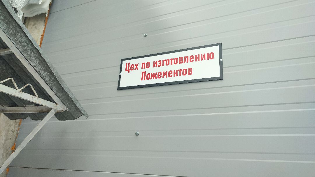 Кашира, общество