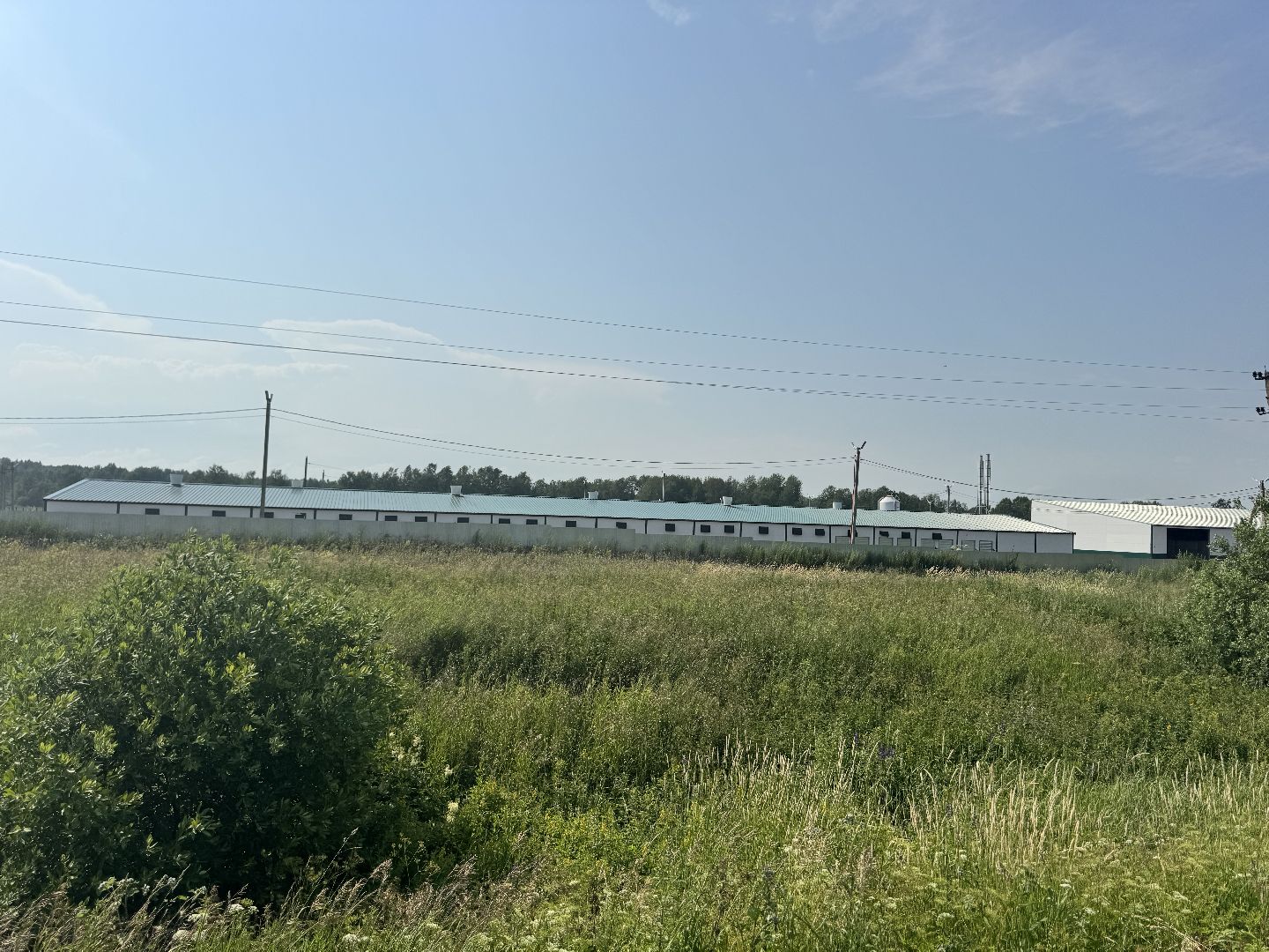 шаховская, птицефабрика, птицеводство, бизнес, предприятие,