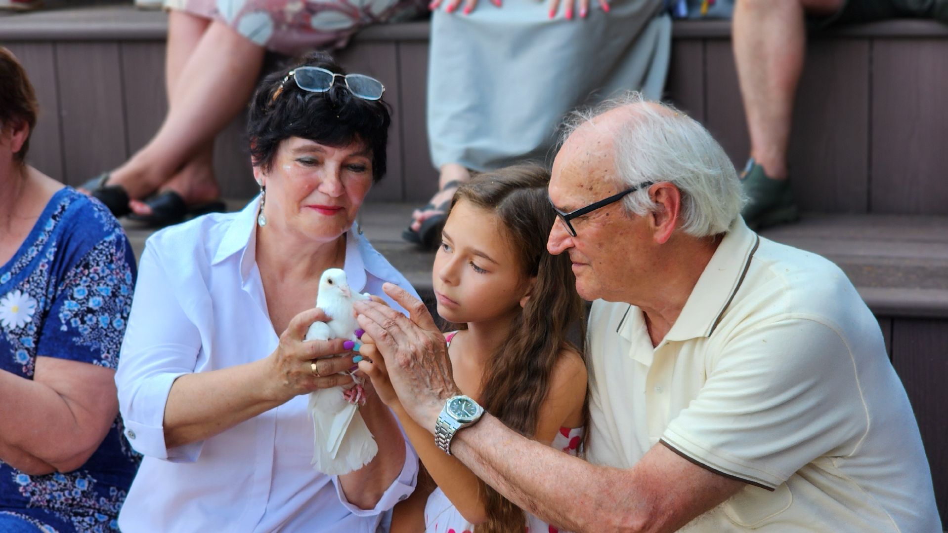 день семьи любви и верности, праздник, лосино-петровский,