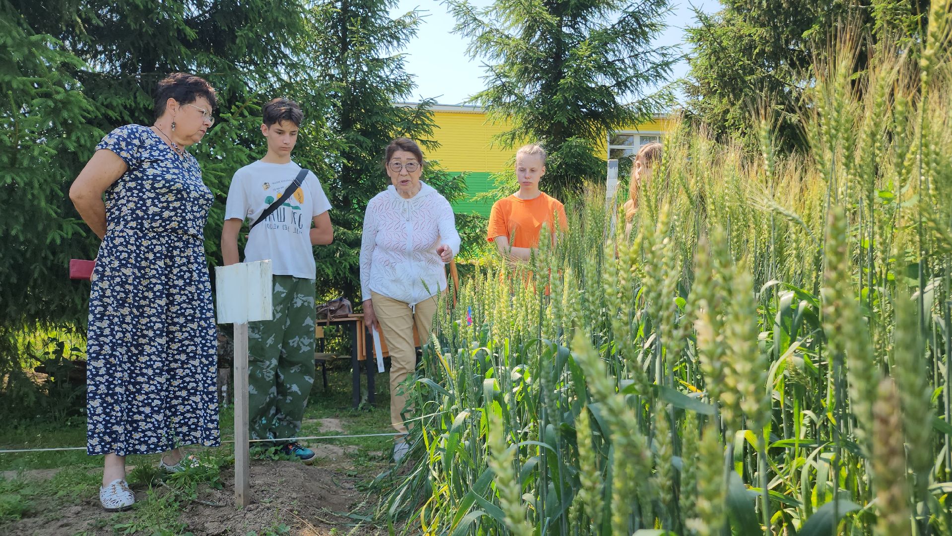 ступино, сельское хозяйство, образование,