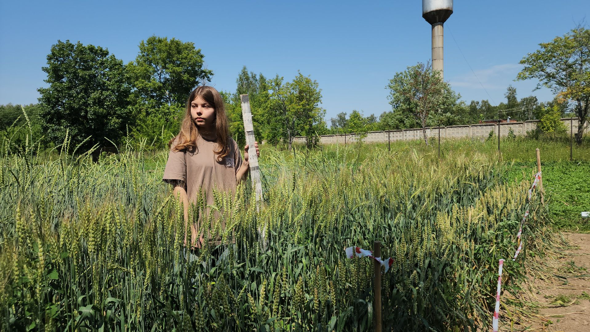ступино, сельское хозяйство, образование,