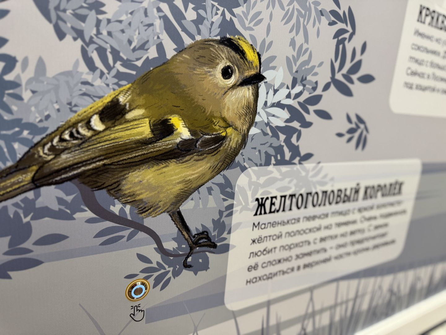 лосиный остров, балашиха, экоцентр царская охота,