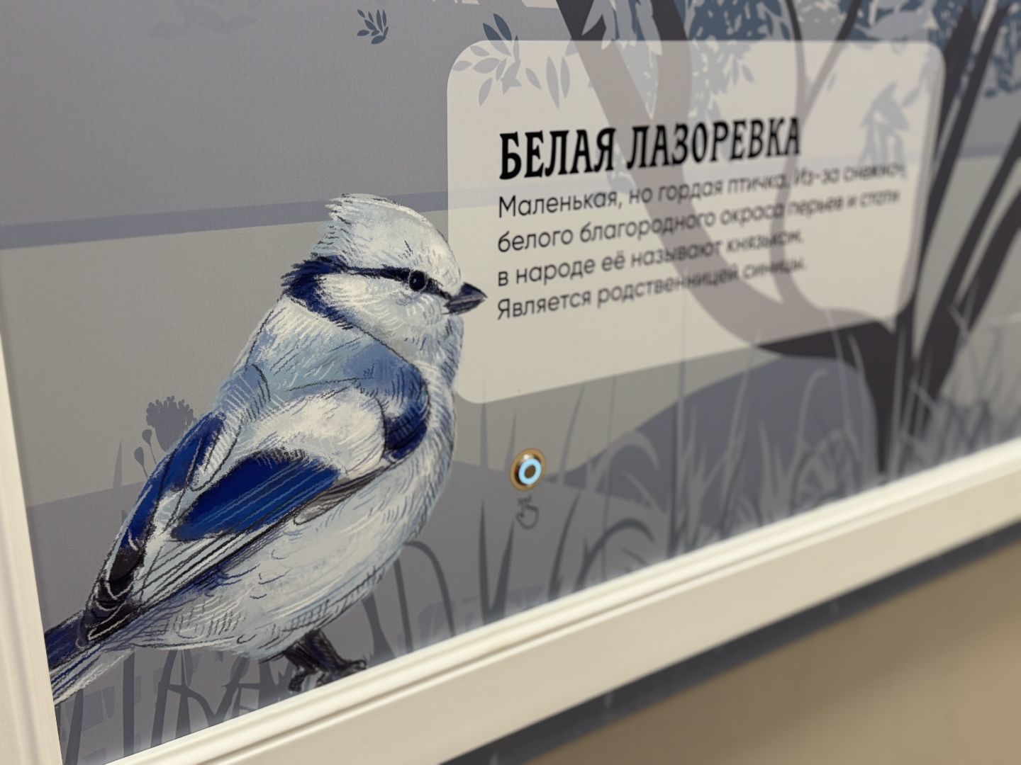 лосиный остров, балашиха, экоцентр царская охота,