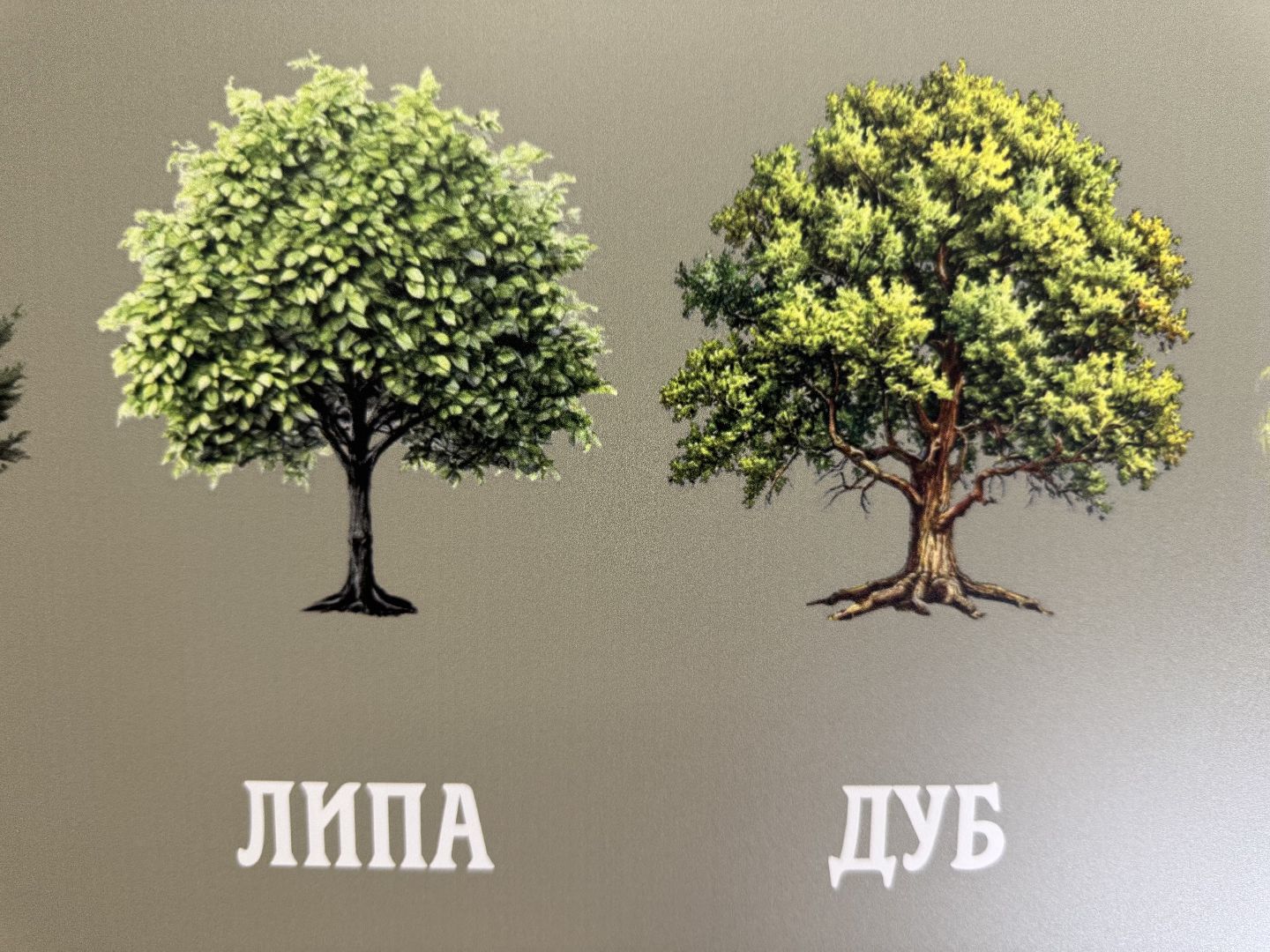 лосиный остров, балашиха, экоцентр царская охота,