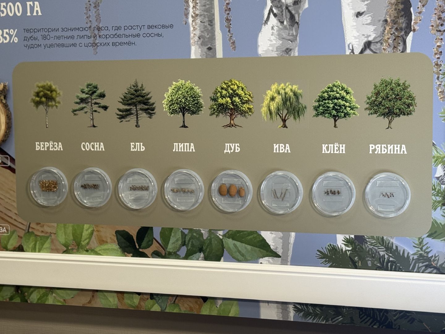 лосиный остров, балашиха, экоцентр царская охота,