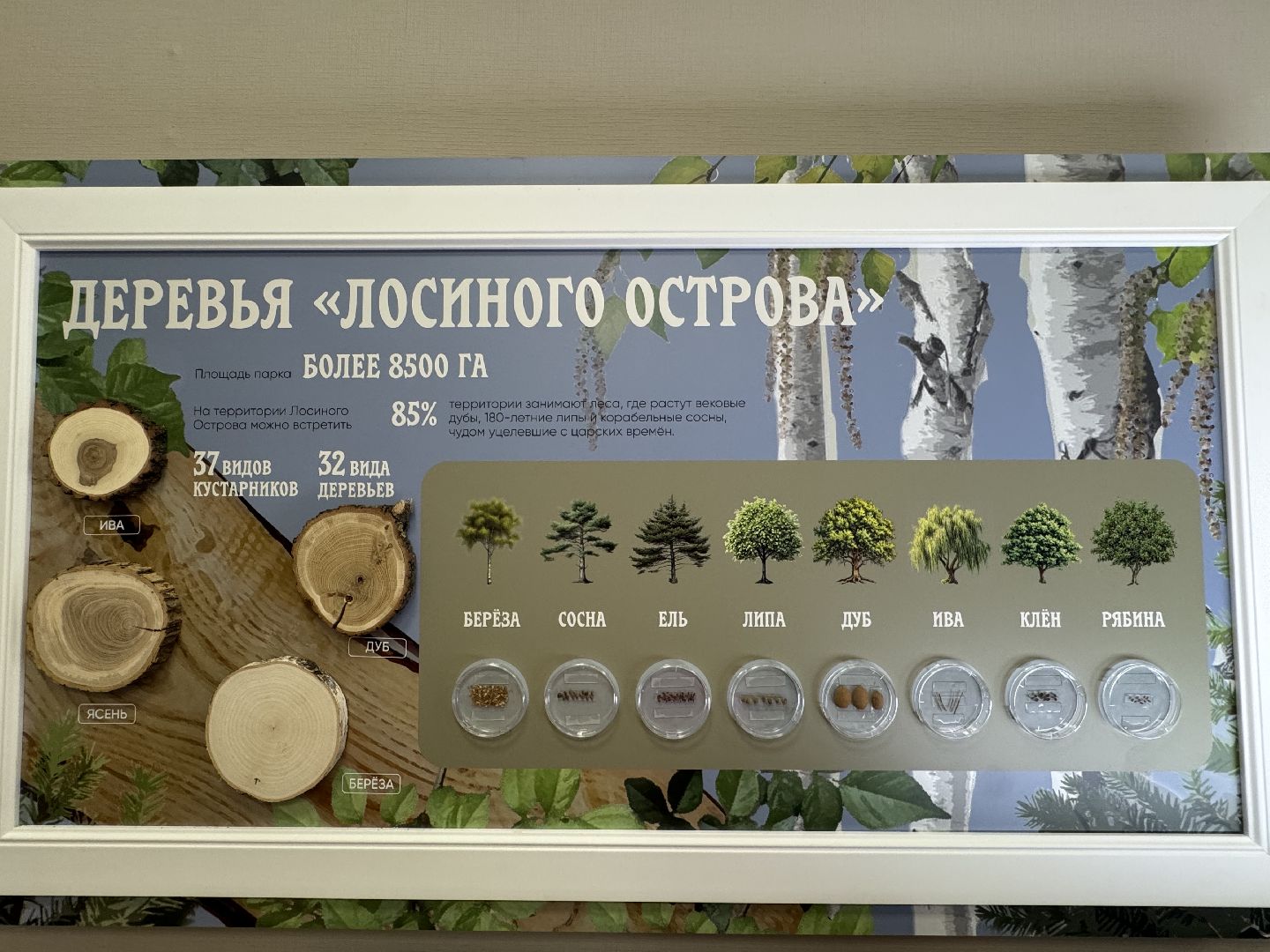 лосиный остров, балашиха, экоцентр царская охота,