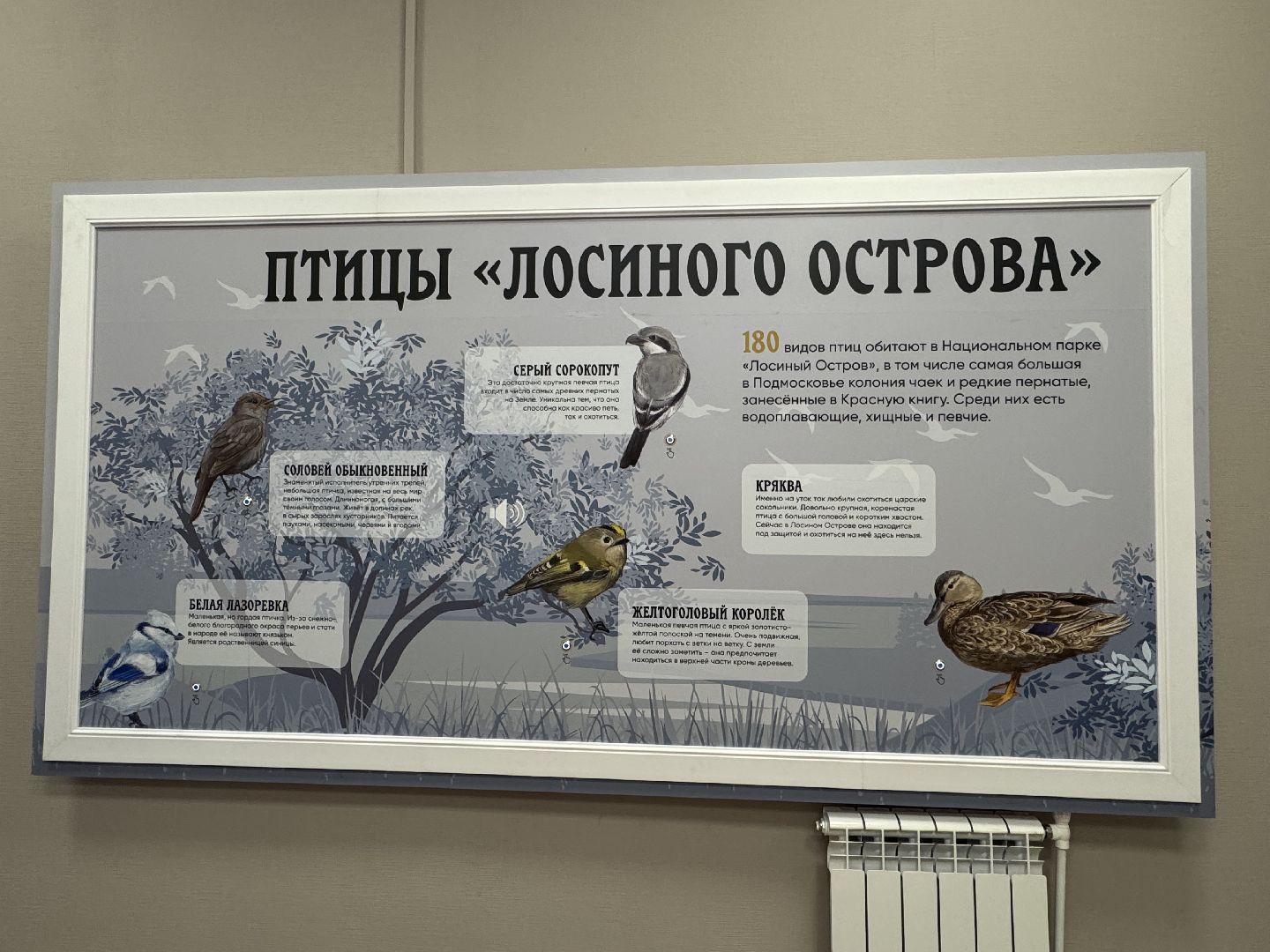 лосиный остров, балашиха, экоцентр царская охота,