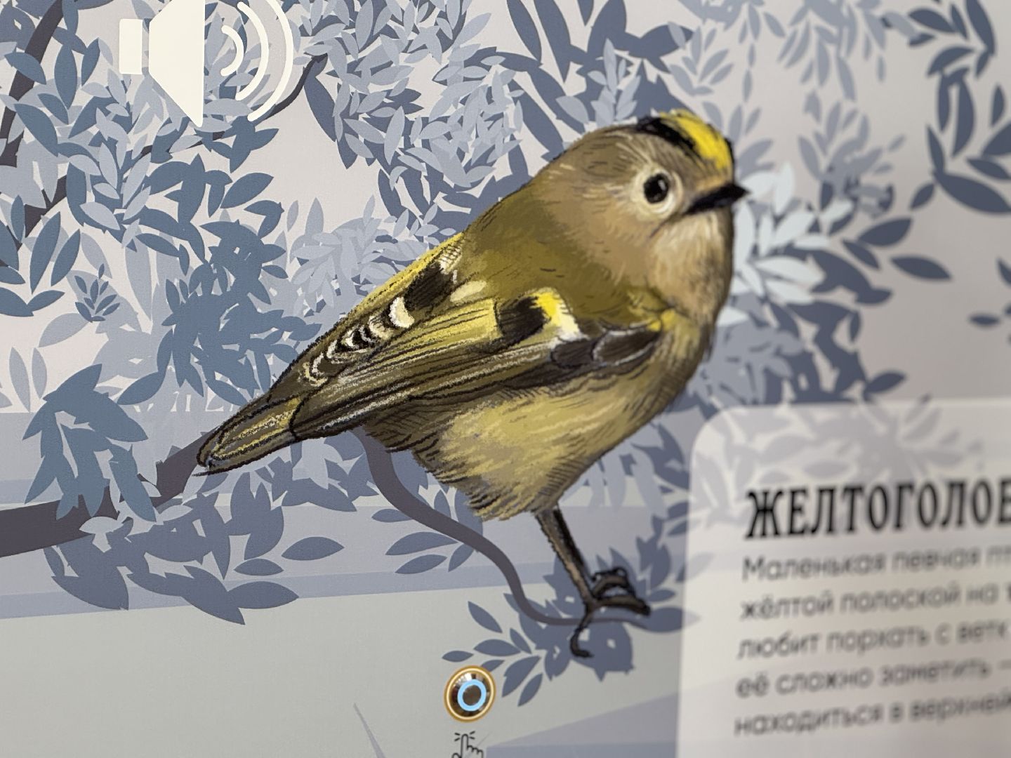 лосиный остров, балашиха, экоцентр царская охота,