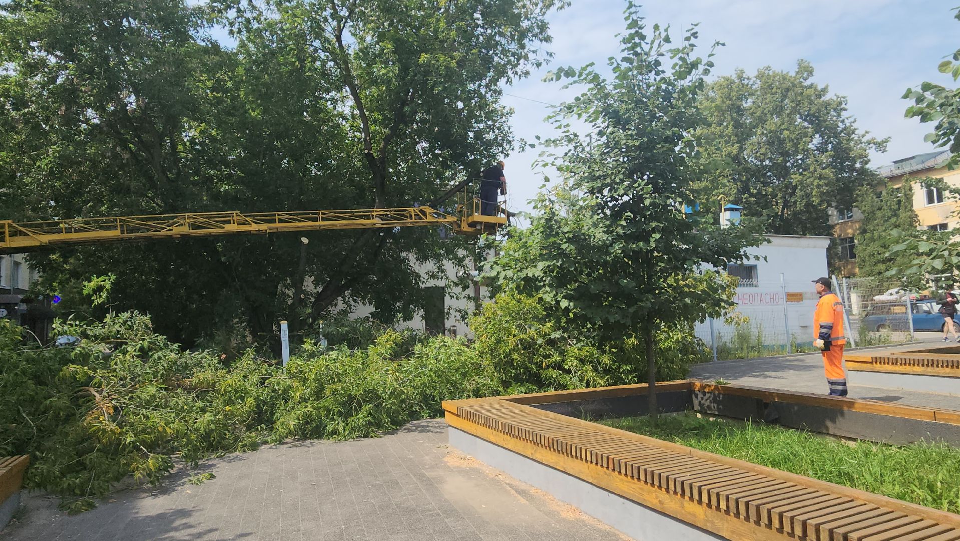 вертикалки, ивантеевка, опиловка, опилить деревья, опиловка деревьев,кронирование, коммунальная служба,