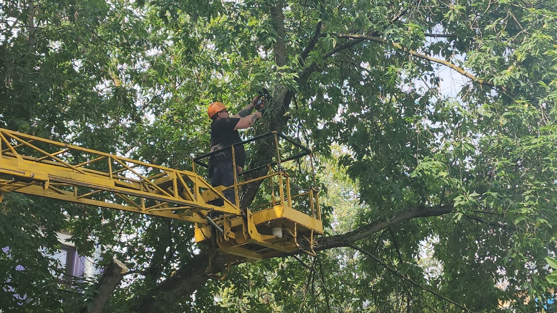 вертикалки, ивантеевка, опиловка, опилить деревья, опиловка деревьев,кронирование, коммунальная служба,