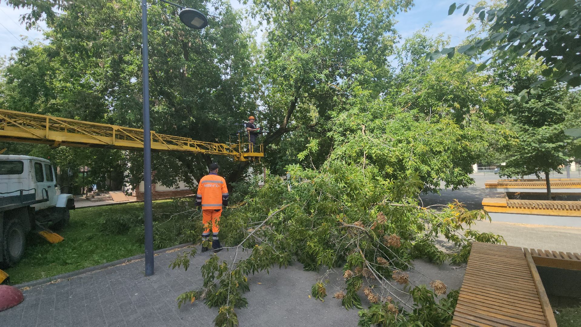 вертикалки, ивантеевка, опиловка, опилить деревья, опиловка деревьев,кронирование, коммунальная служба,