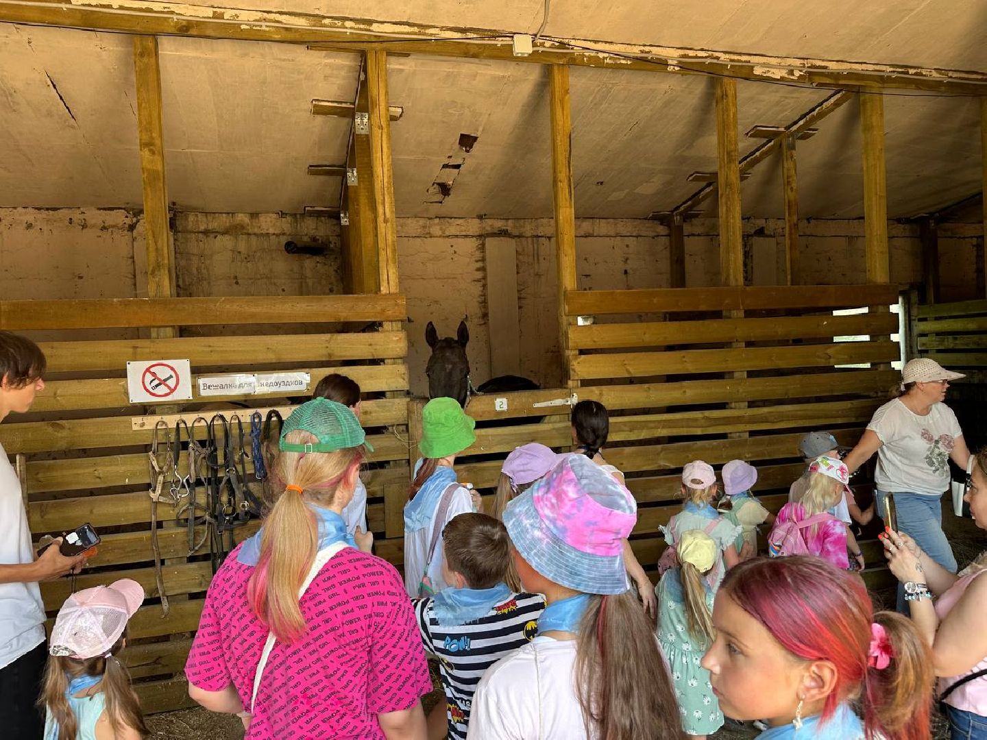 летний лагерь, домодедово, конюшня,