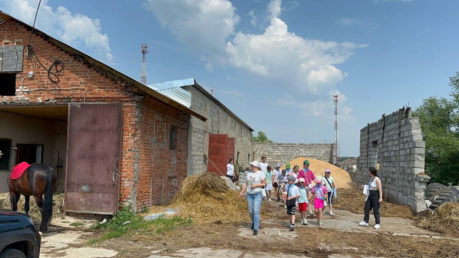 летний лагерь, домодедово, конюшня,