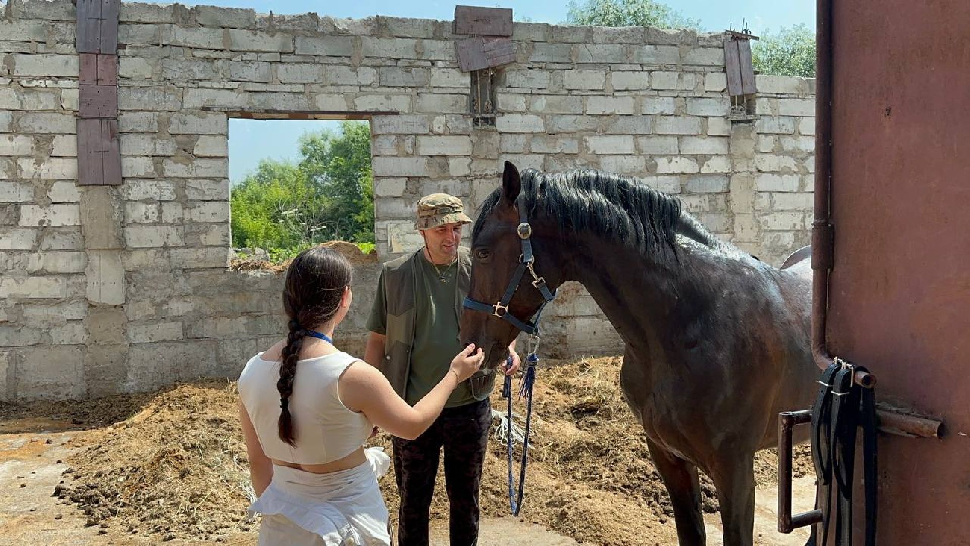 летний лагерь, домодедово, конюшня,