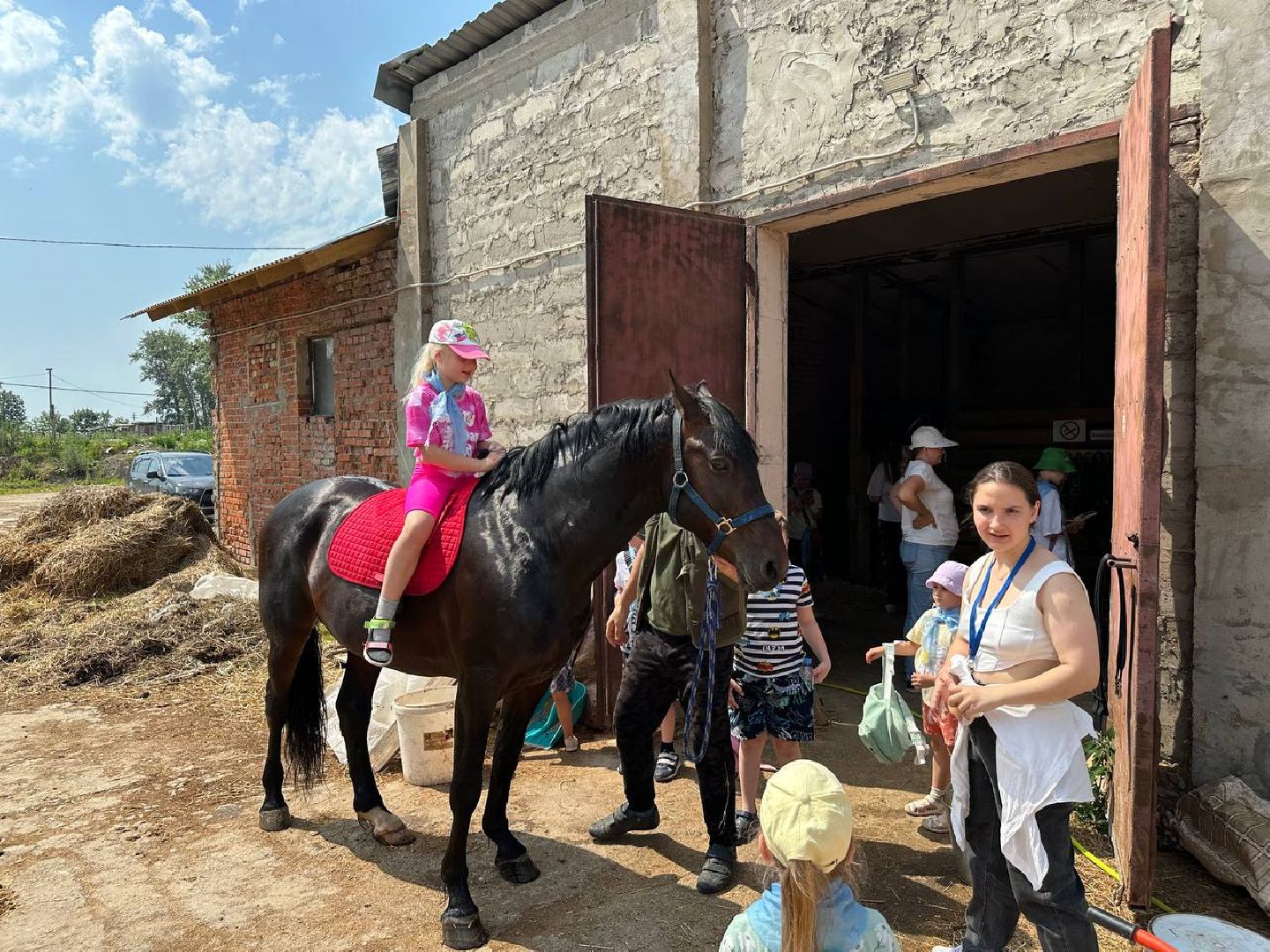 летний лагерь, домодедово, конюшня,