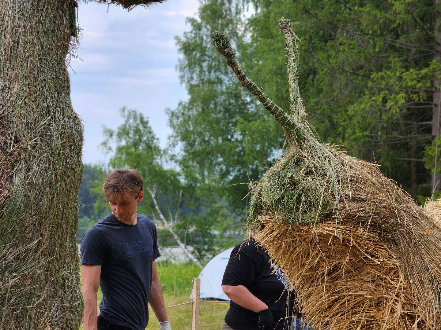 сергиев посад, сергиево-посадский городской округ, владимир алманов, скульптуры из сена, парковые скульптуры, улитки из сена,