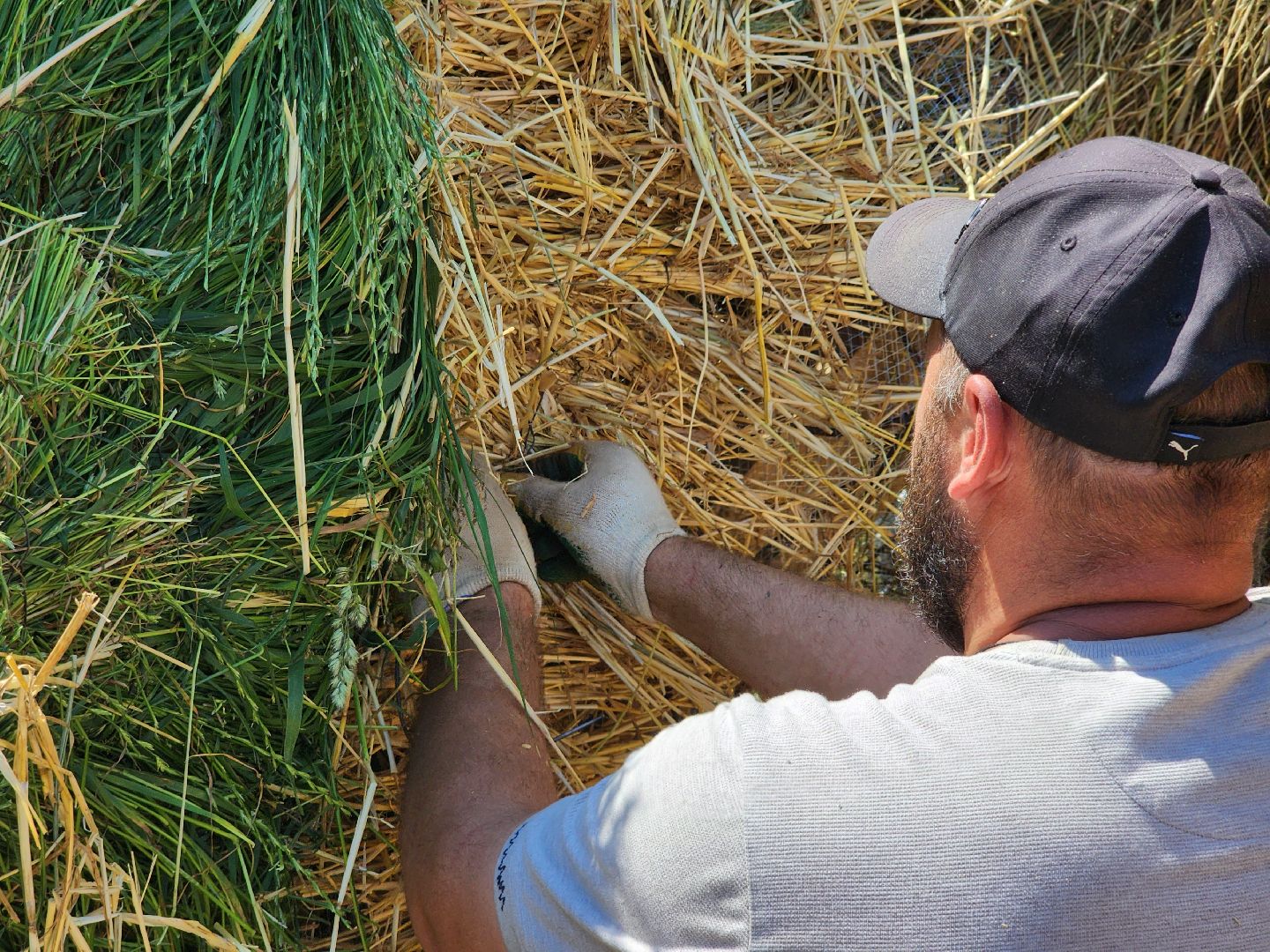 сергиев посад, сергиево-посадский городской округ, владимир алманов, скульптуры из сена, парковые скульптуры, улитки из сена,