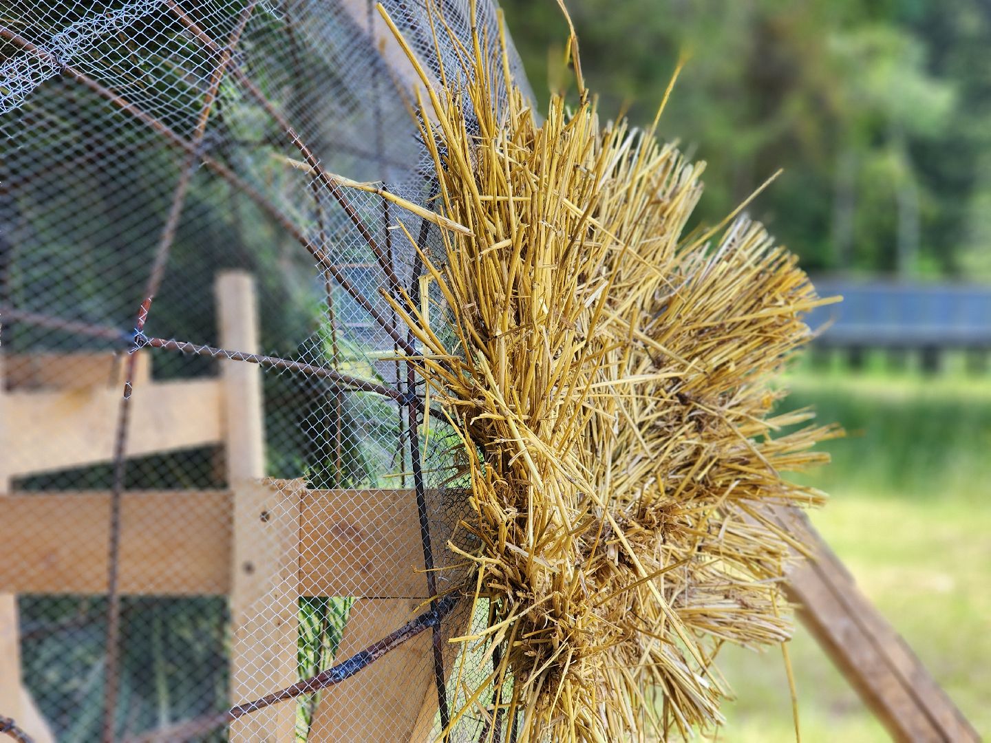сергиев посад, сергиево-посадский городской округ, владимир алманов, скульптуры из сена, парковые скульптуры, улитки из сена,