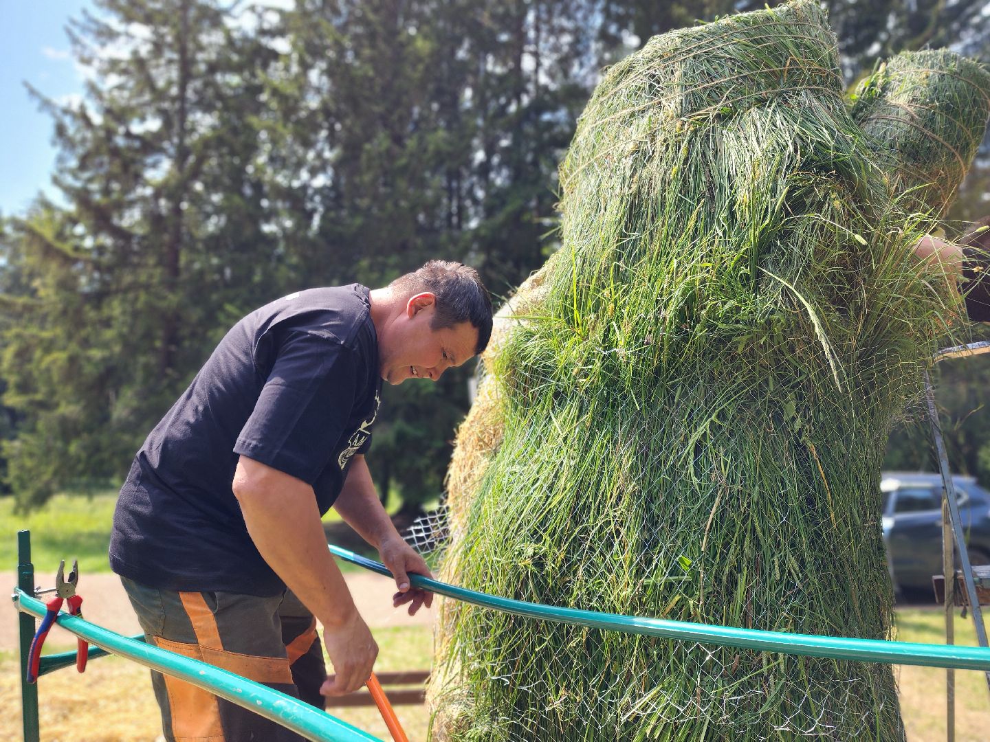 сергиев посад, сергиево-посадский городской округ, владимир алманов, скульптуры из сена, парковые скульптуры, улитки из сена,