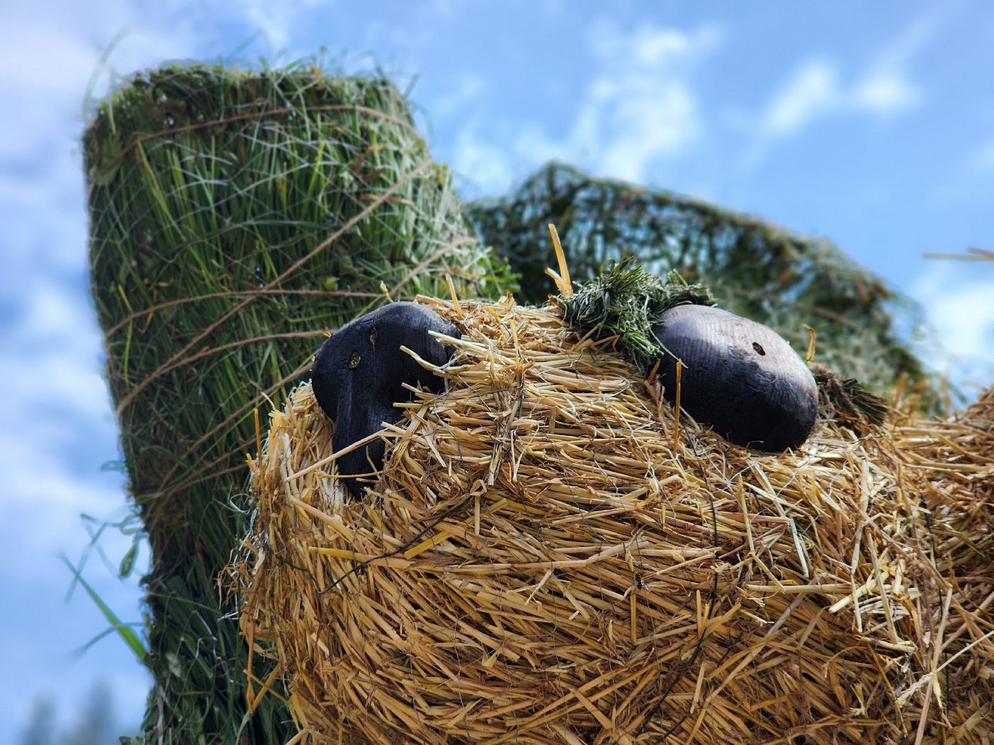 сергиев посад, сергиево-посадский городской округ, владимир алманов, скульптуры из сена, парковые скульптуры, улитки из сена,