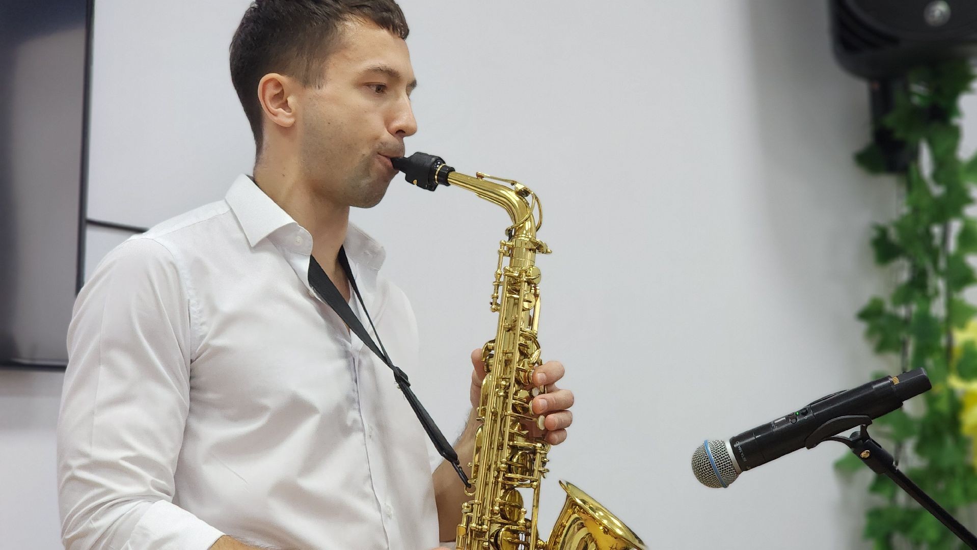 волоколамск, день любви семьи и верности, библиотека, концерт,