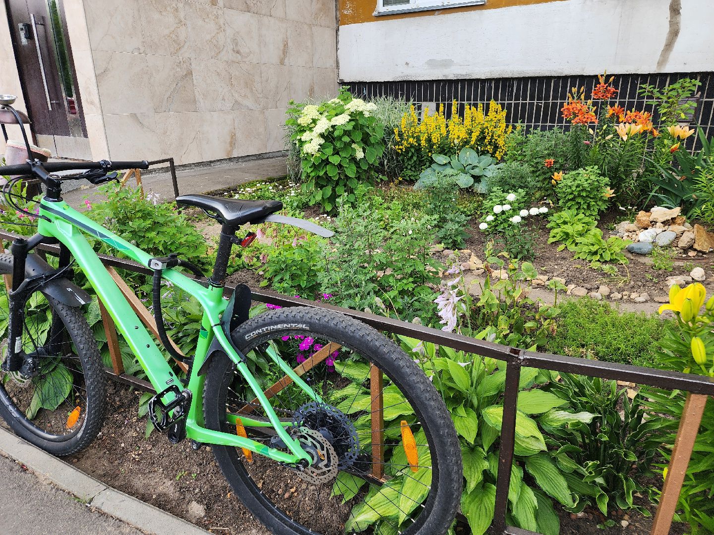 фрязино, цветники, двор-оранжерея, пенсионер, красивый подъезд,