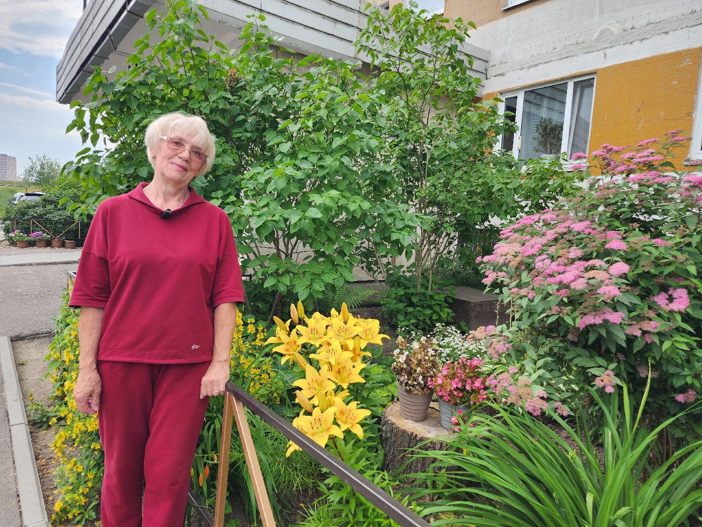 фрязино, цветники, двор-оранжерея, пенсионер, красивый подъезд,