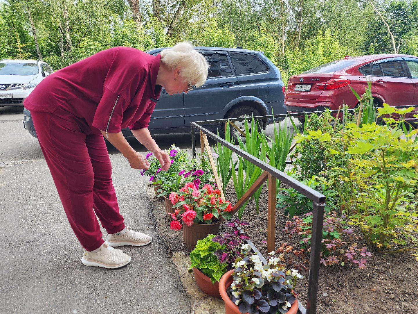 фрязино, цветники, двор-оранжерея, пенсионер, красивый подъезд,
