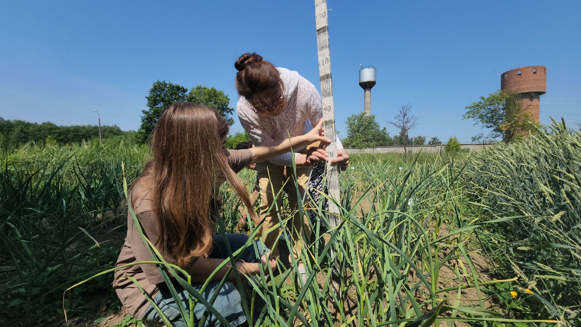 ступино, сельское хозяйство, наука, селекция, образование,