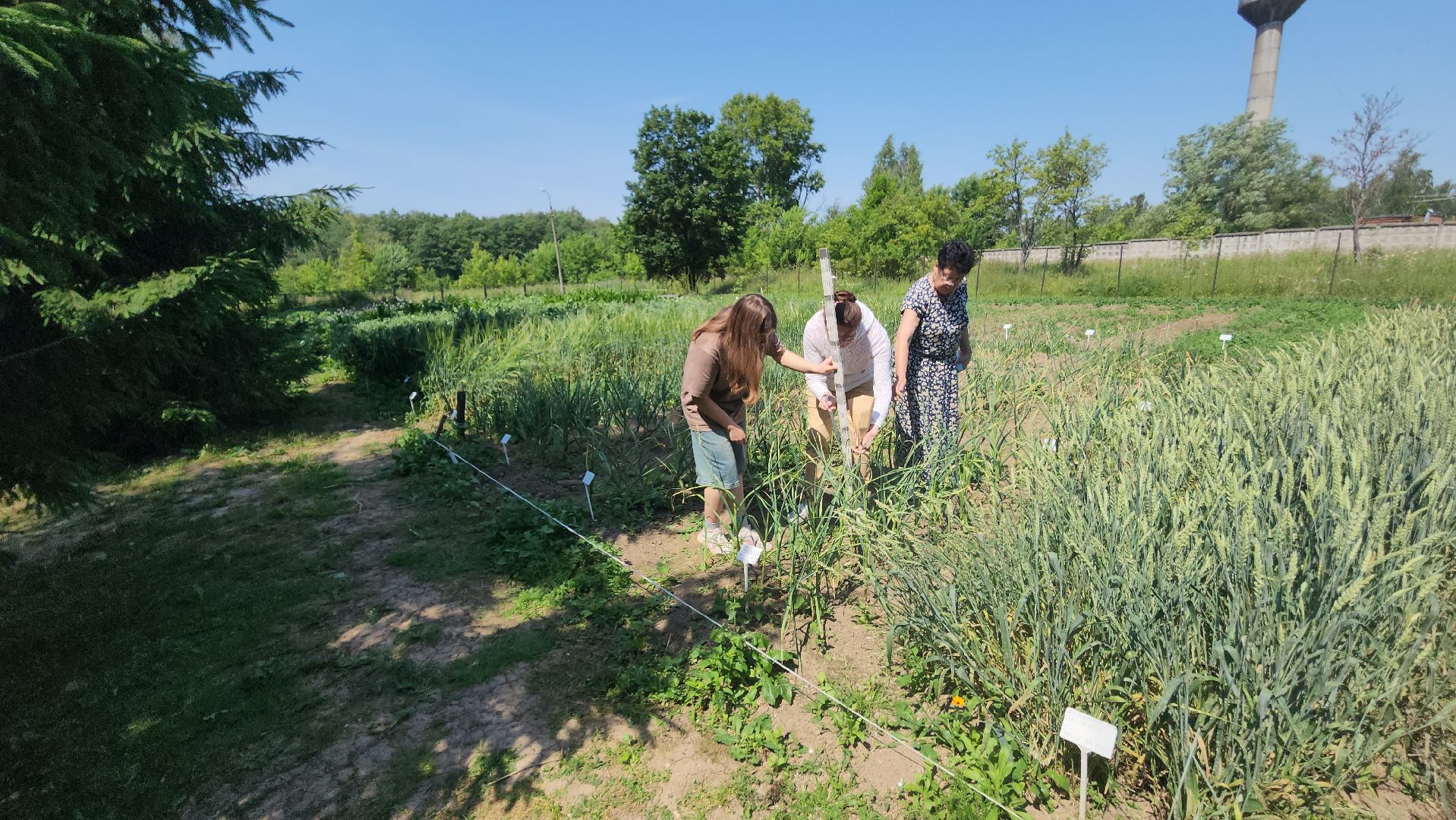 ступино, сельское хозяйство, наука, селекция, образование,