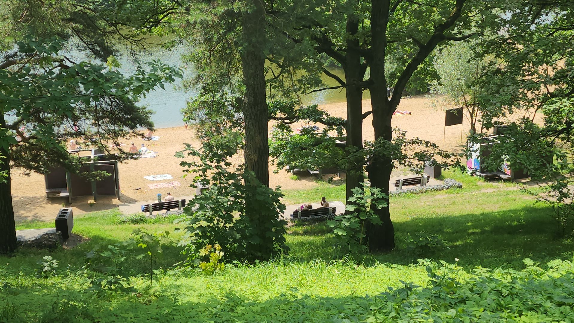 пляж, лето в подмосковье, красногорск, синичка,