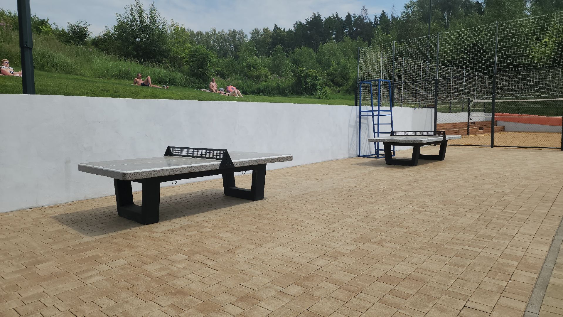 пляж, лето в подмосковье, красногорск, синичка,