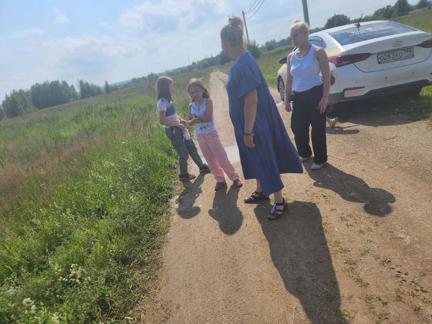 сергиев посад, сергиево-посадский городской округ, филисово, борщевик сосновского,