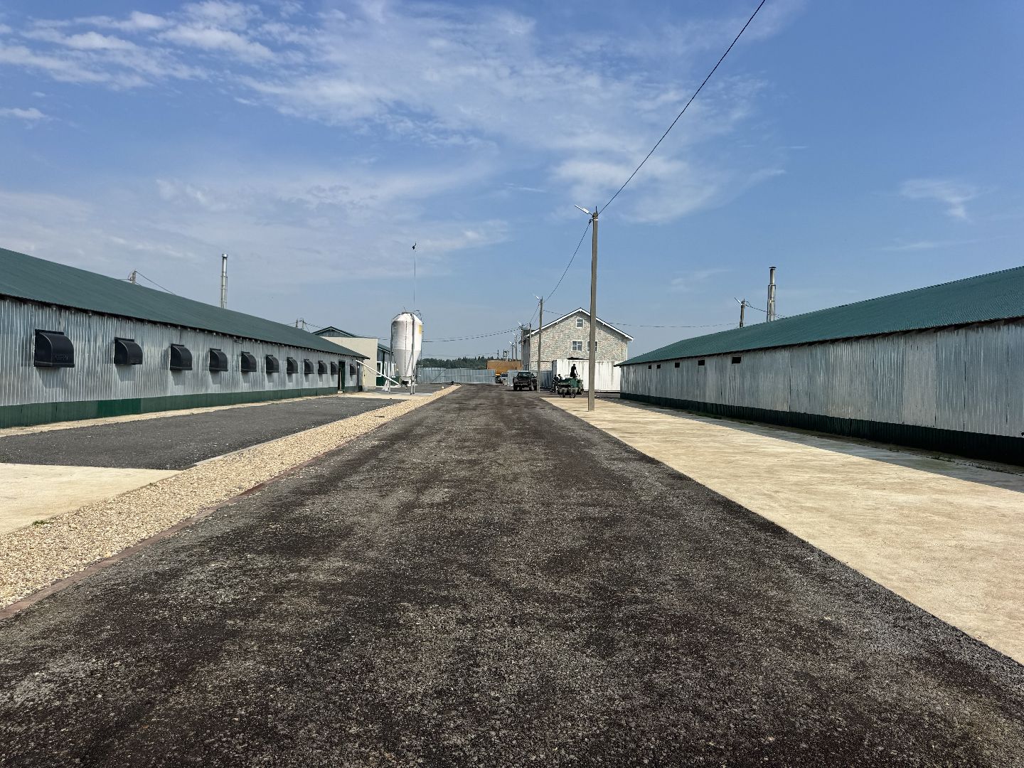 шаховская, предприятие, куры, птица,