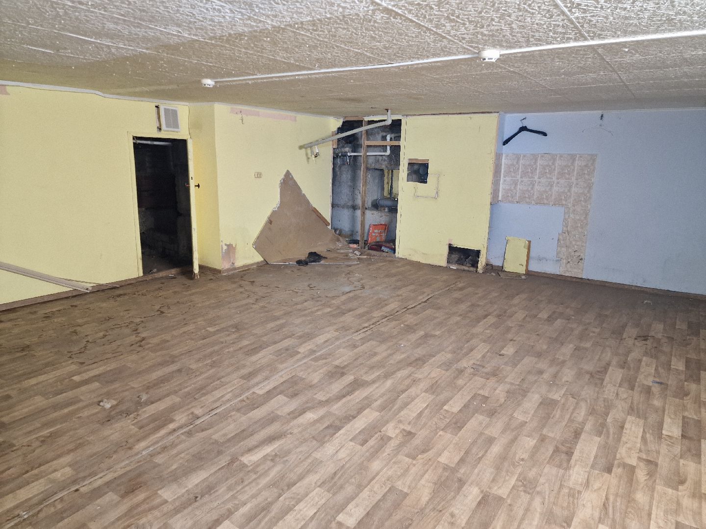 Дубна, Волонтеры, ПриюткошекЛеопольд,