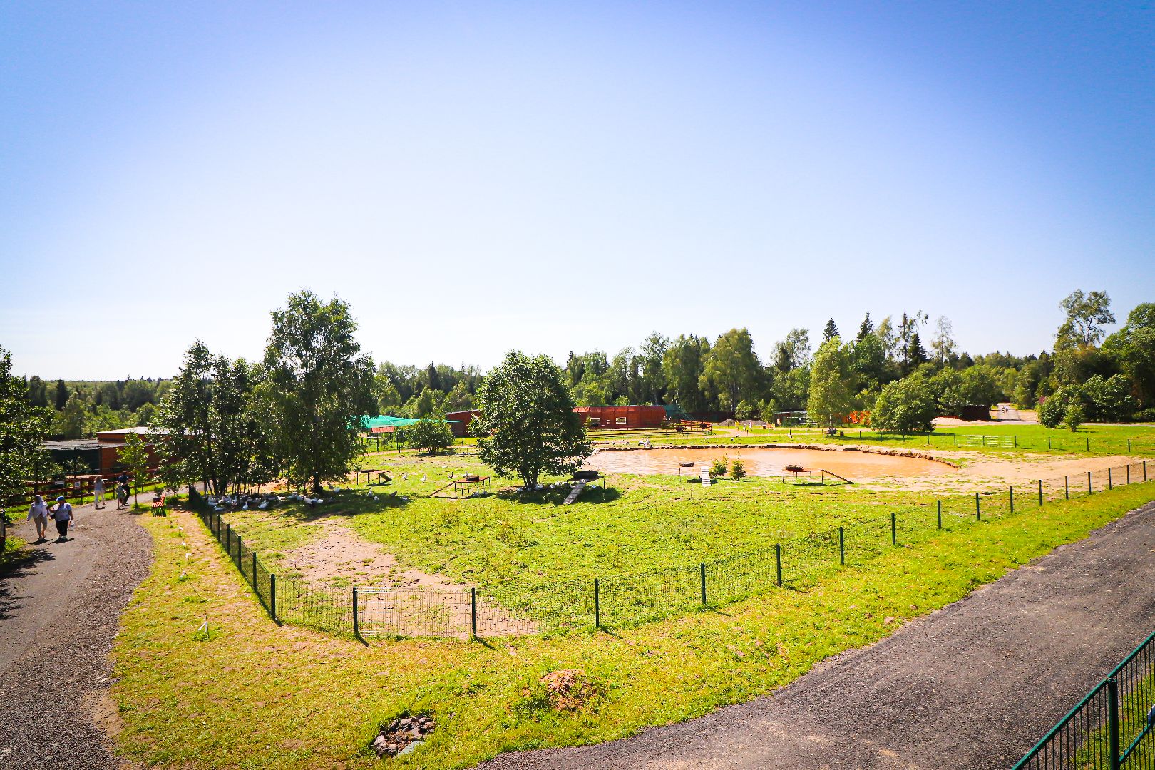 клин, общество, животные, туризм,