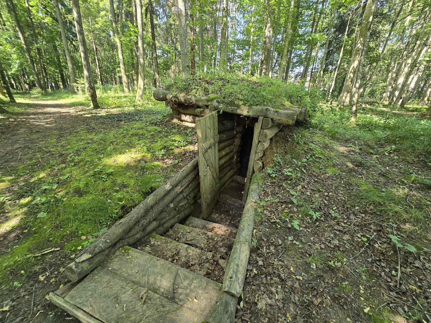 Можайск, Можайский муниципальный округ, Подмосковье, Отдых, Лето, Зоны отдыха, Парк памяти, Общество ,