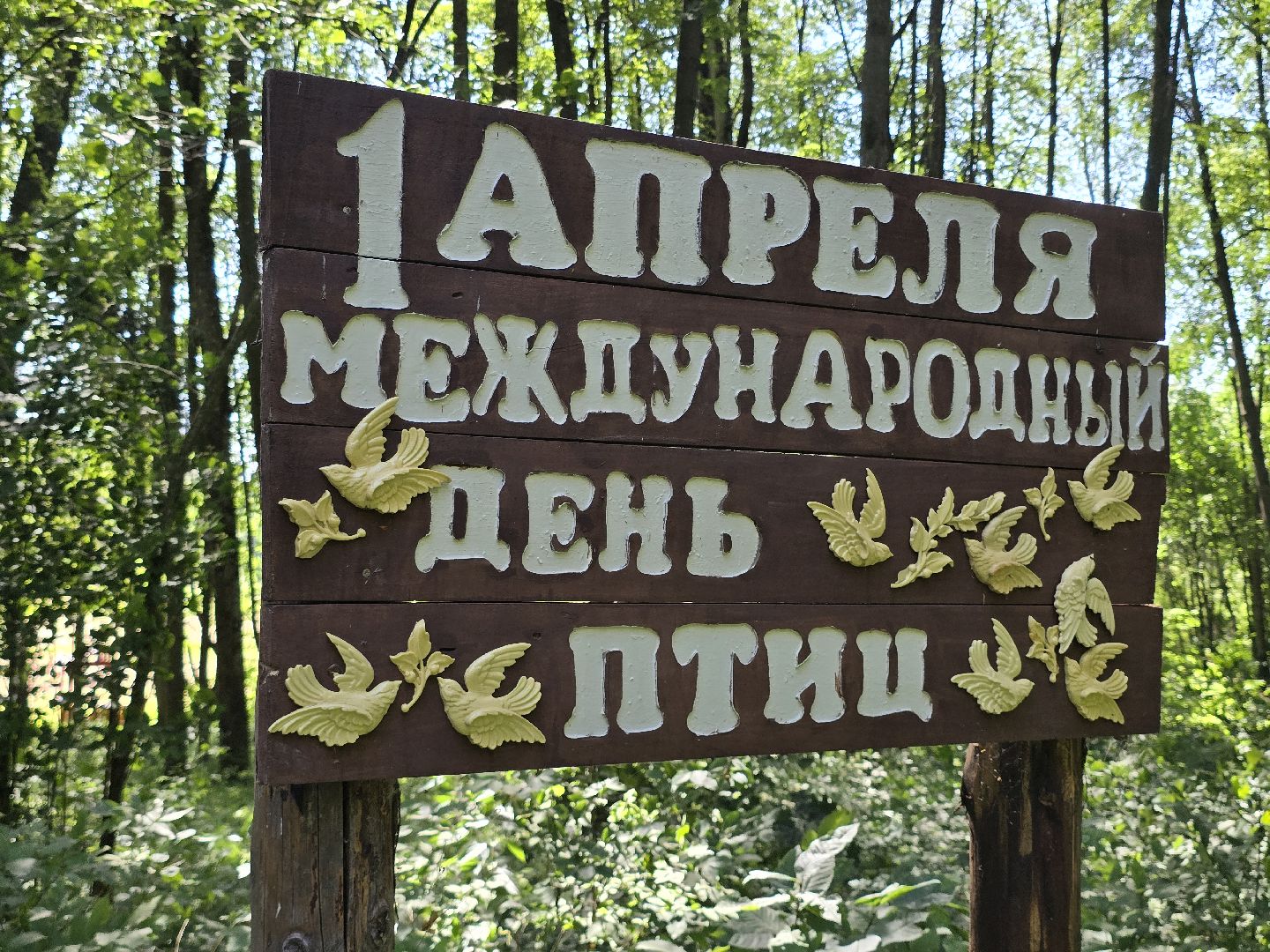 Можайск, Можайский муниципальный округ, Подмосковье, Отдых, Лето, Зоны отдыха, Парк памяти, Общество ,