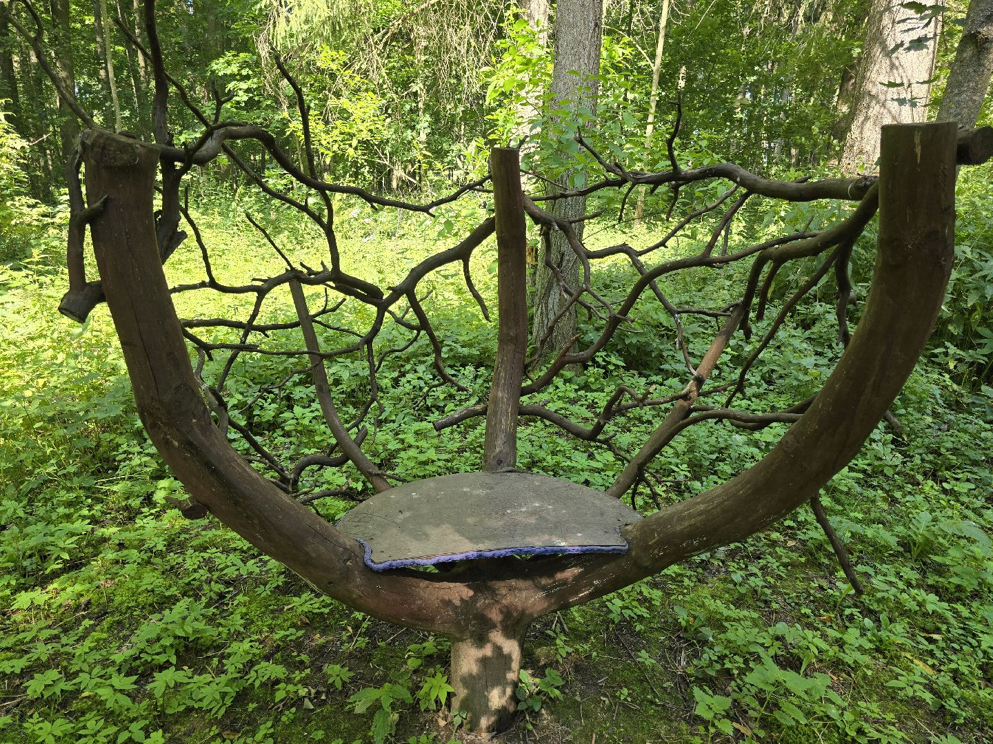 Можайск, Можайский муниципальный округ, Подмосковье, Отдых, Лето, Зоны отдыха, Парк памяти, Общество ,