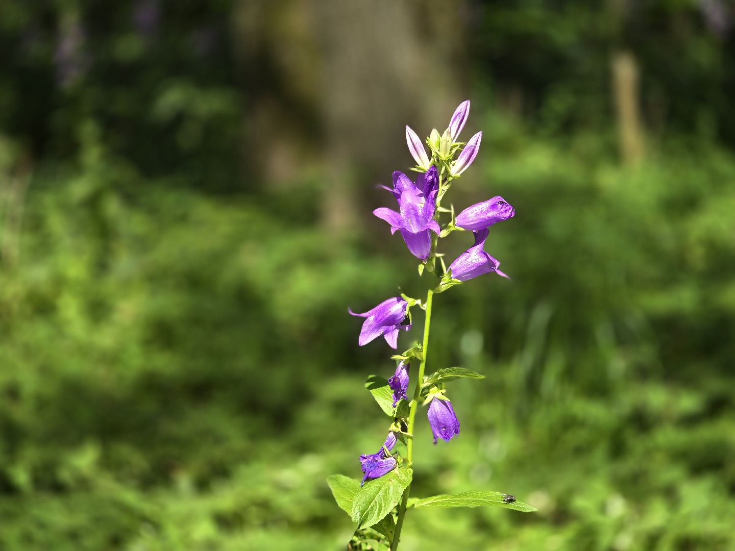 Можайск, Можайский муниципальный округ, Подмосковье, Отдых, Лето, Зоны отдыха, Парк памяти, Общество ,