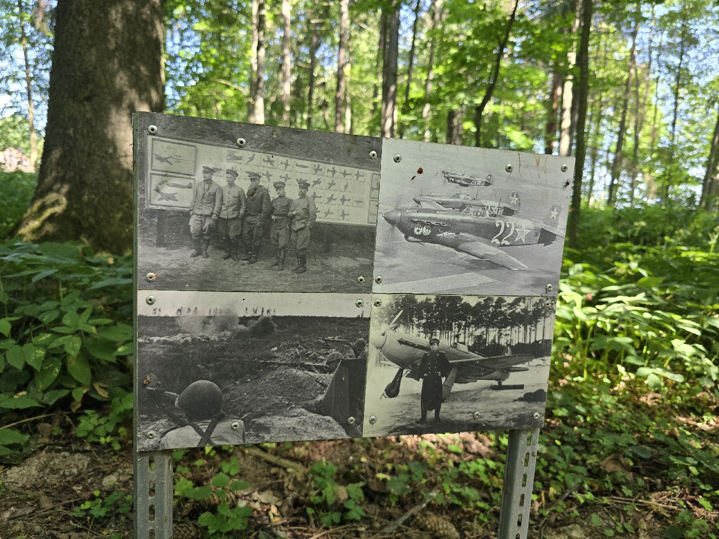 Можайск, Можайский муниципальный округ, Подмосковье, Отдых, Лето, Зоны отдыха, Парк памяти, Общество ,