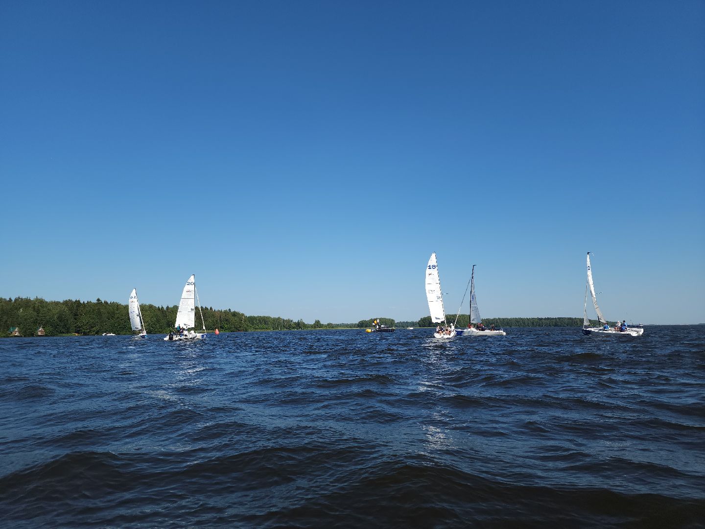 мытищи, яхта, парусная регата,