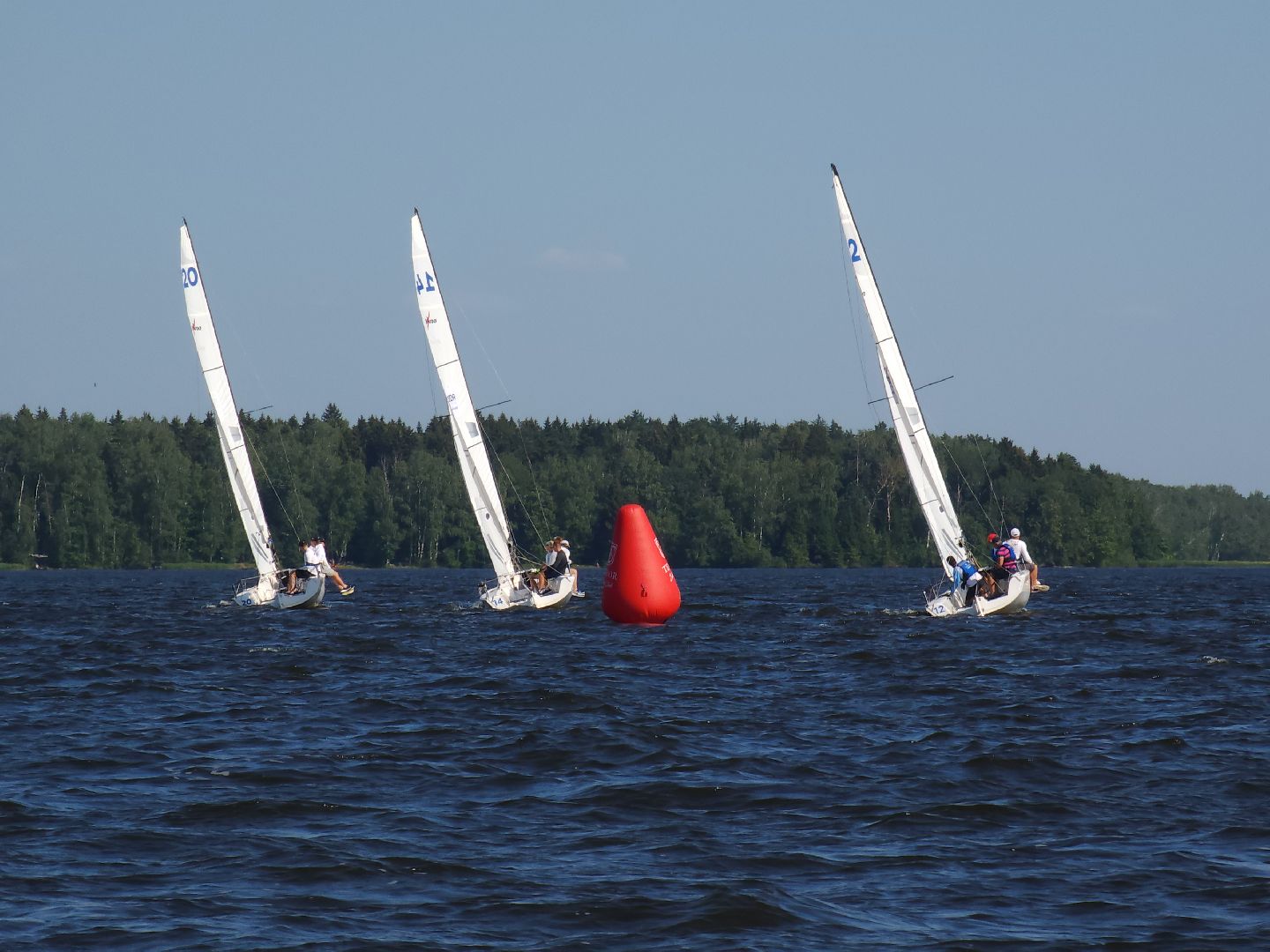 мытищи, яхта, парусная регата,