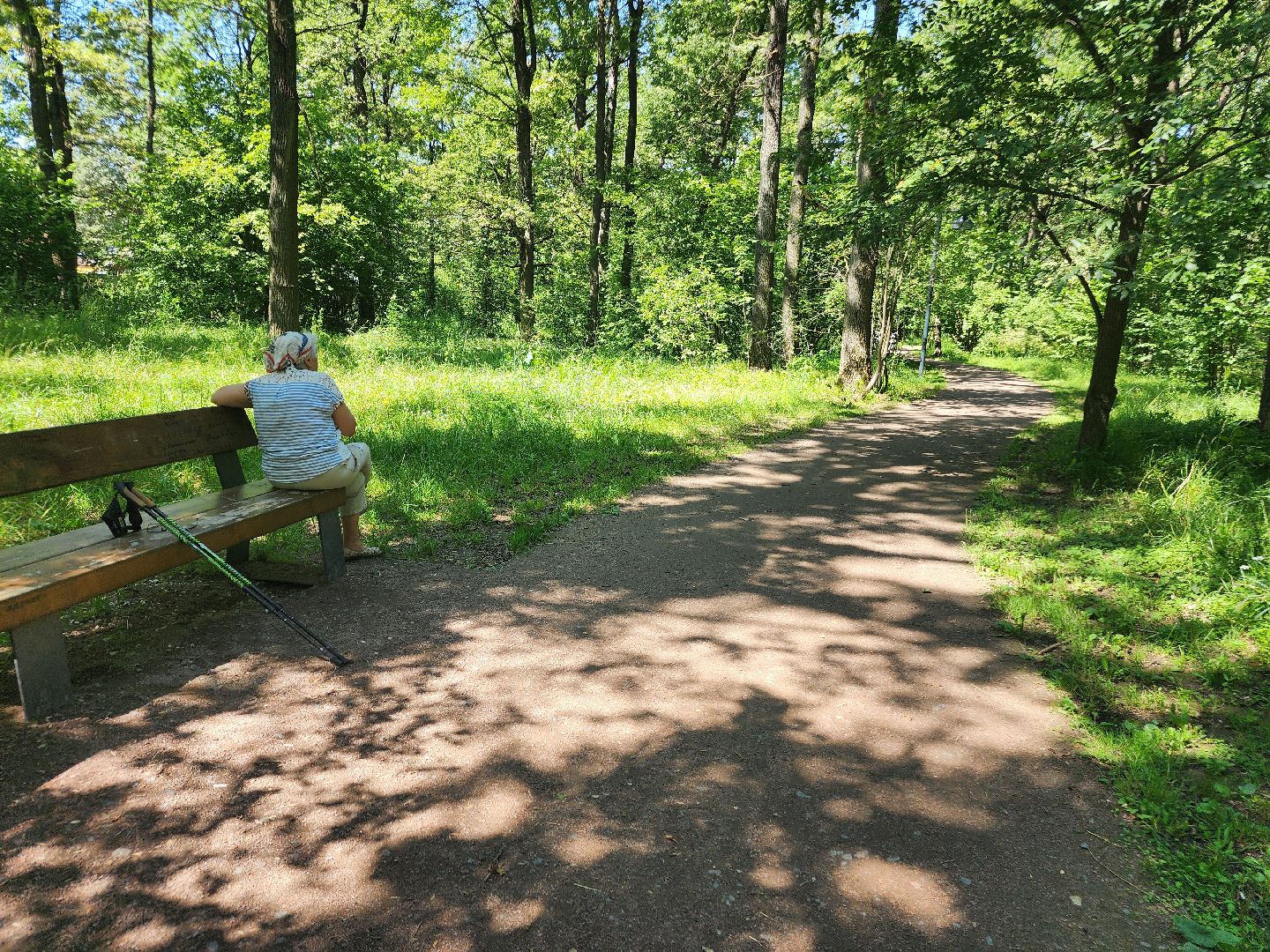 фрязино, жара, погодная аномалия, лесопарк,