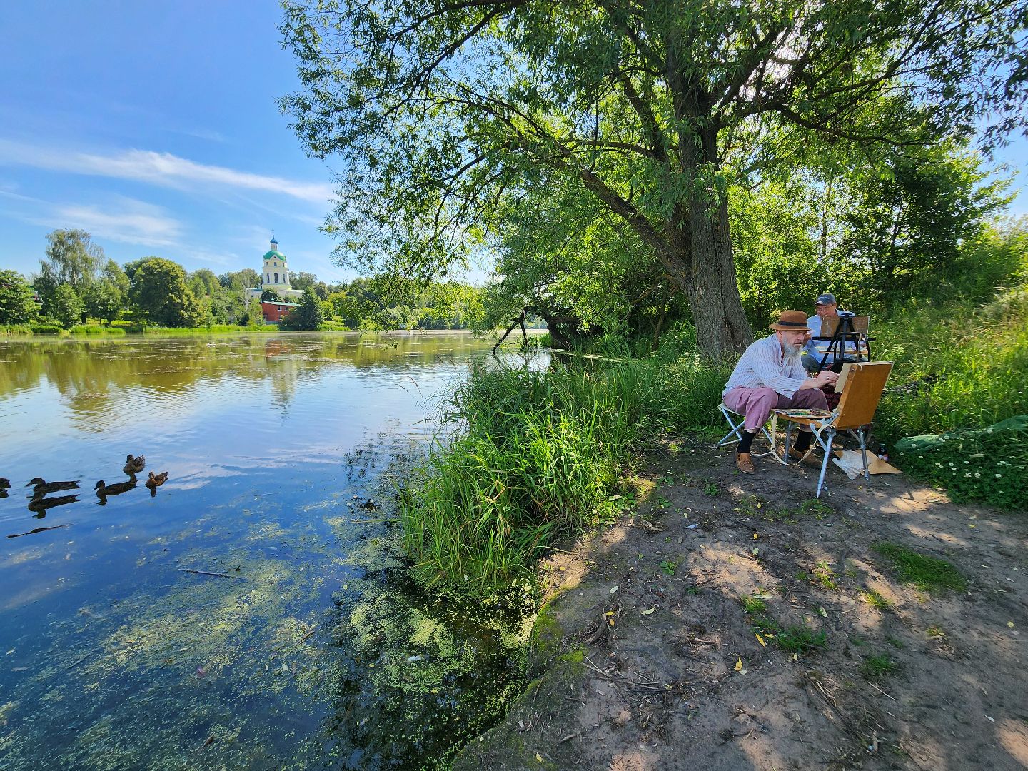 фрязино, жара, погодная аномалия, лесопарк,